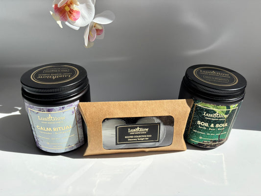 Rooted Collection Discovery Set