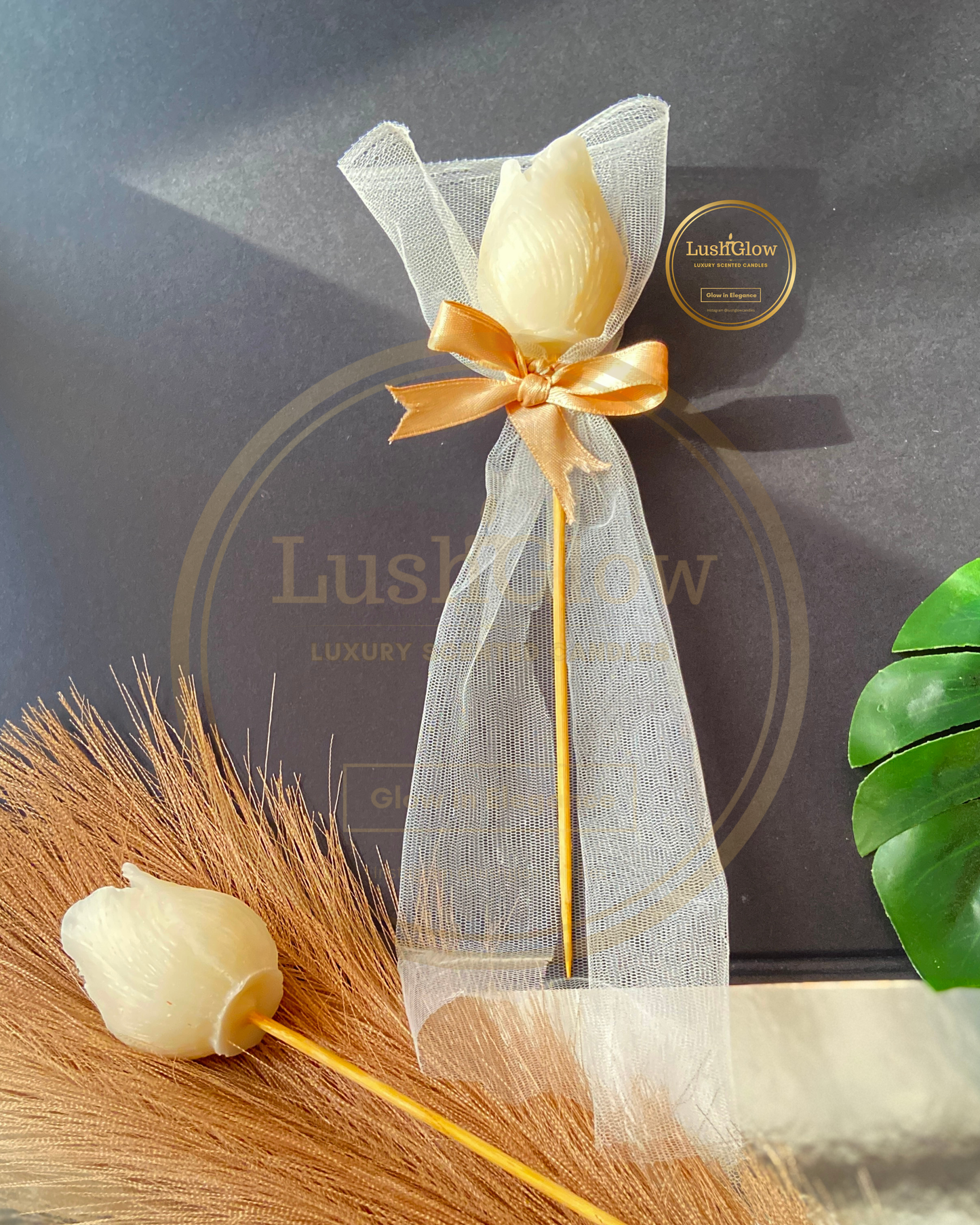 Tulip in Veil 🌷(Set Of 2)