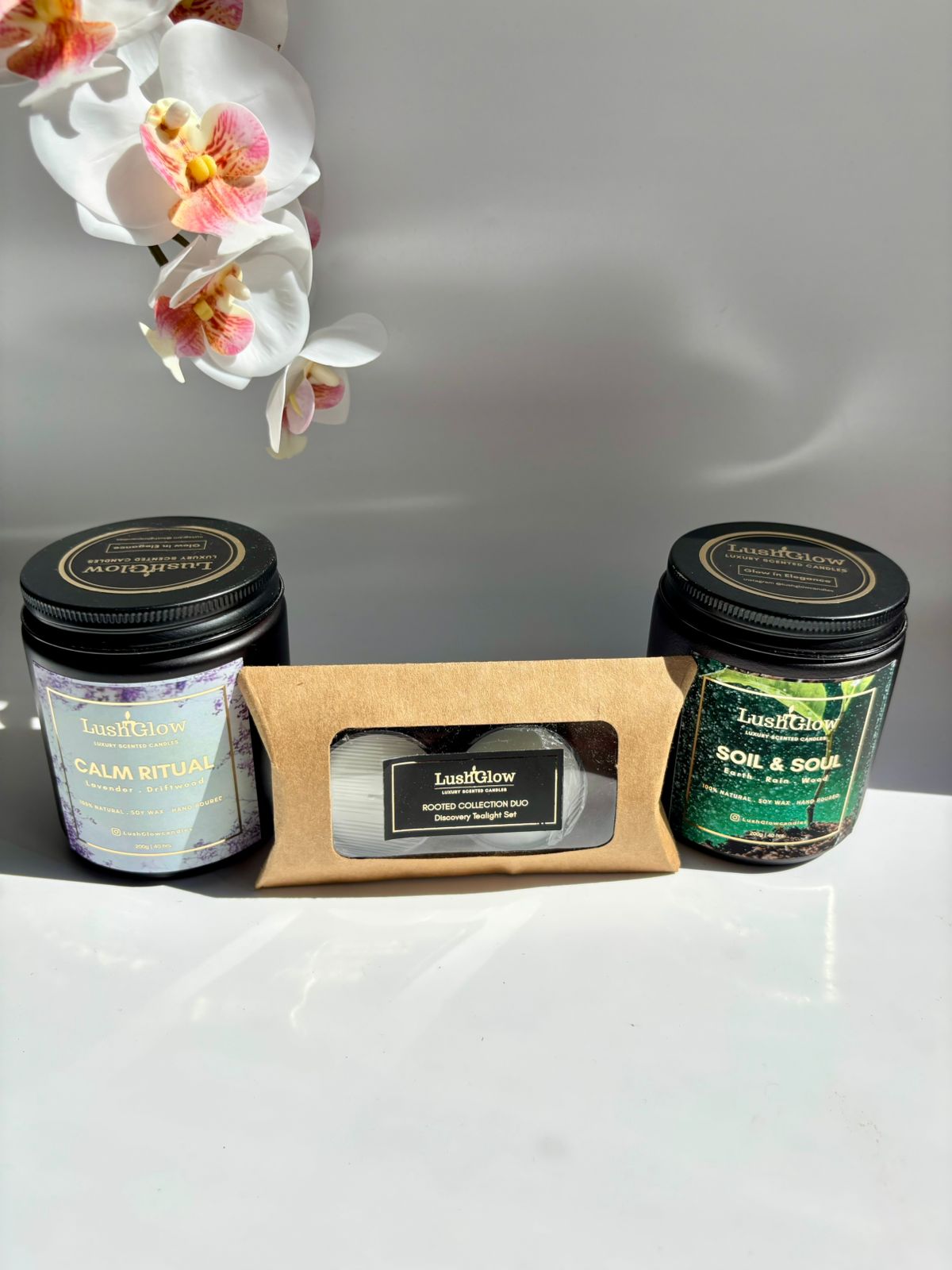 Rooted Collection Discovery Set