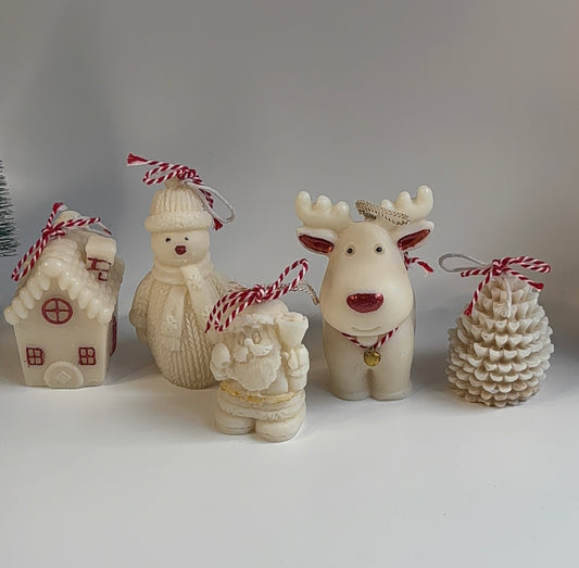 Winter Wonderland Village Box